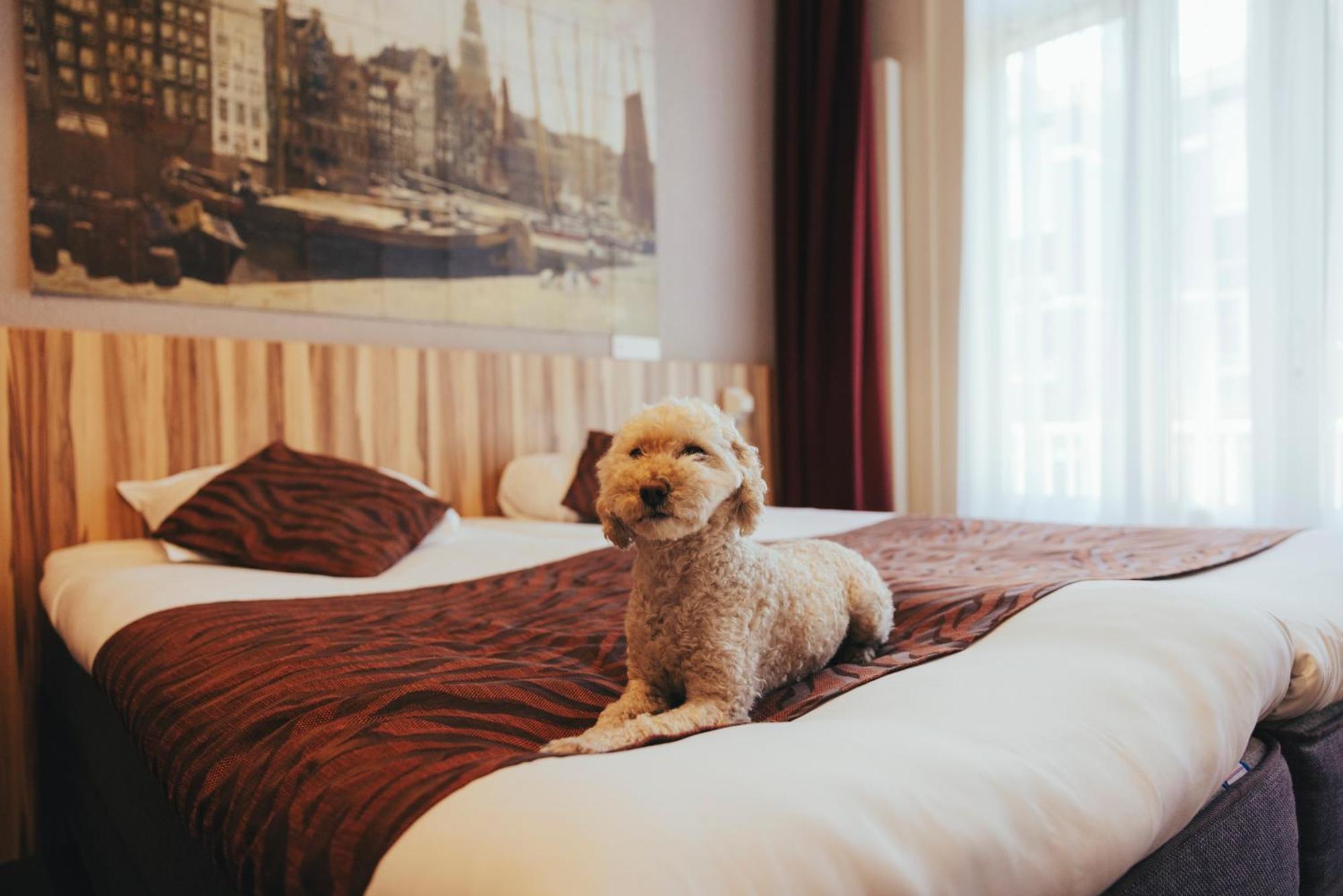 Asterisk, A Family Run Hotel